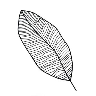 Wire Leaf  Decor