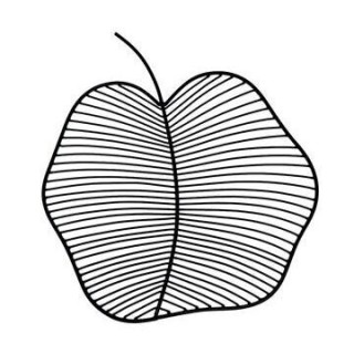 Apple Wall Decor